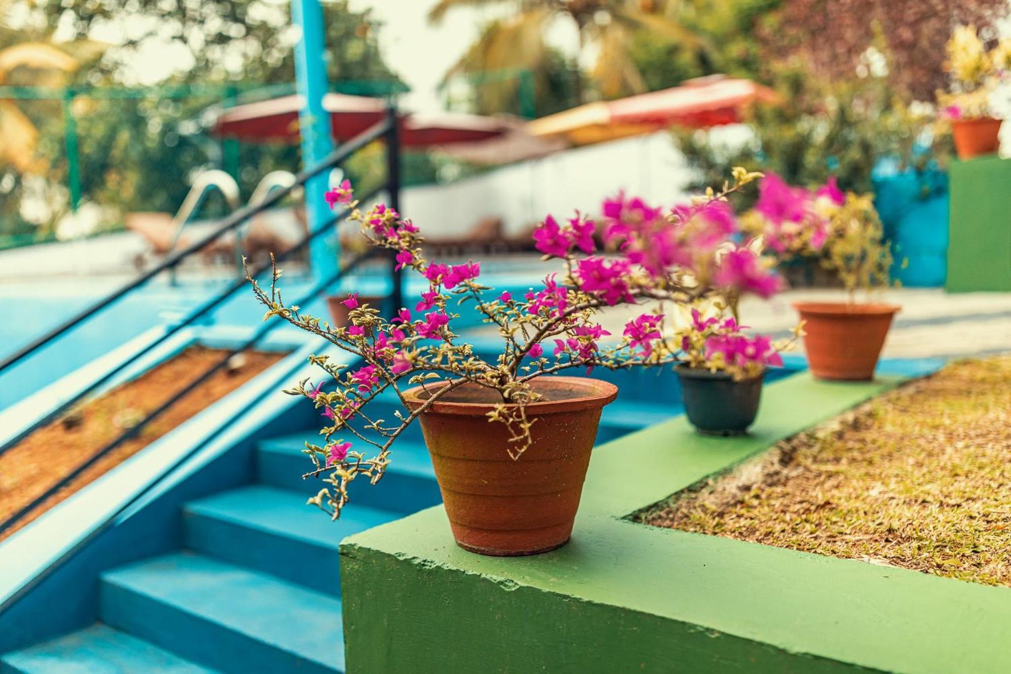 Villa 陶尔佩 外观 照片